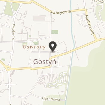 Towarzystwo Miłośników Gostyńskiej Fary na mapie