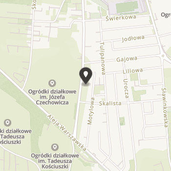 Stowarzyszenie Fiore na mapie