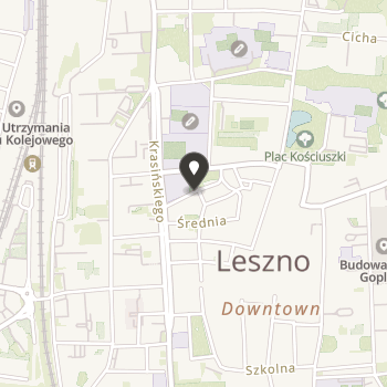 Stowarzyszenie Przyjaciół Państwowej Szkoły Muzycznej i i II Stopnia im. Romana Maciejewskiego w Lesznie na mapie