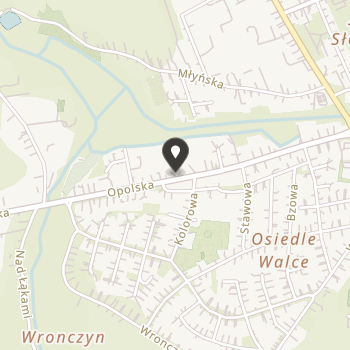 Stowarzyszenie Pozytywka Olesno na mapie