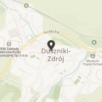 Fundacja Międzynarodowych Festiwali Chopinowskich w Dusznikach-Zdroju na mapie