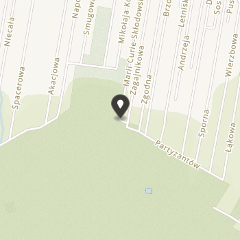 Europejskie Centrum Kultury Logos na mapie