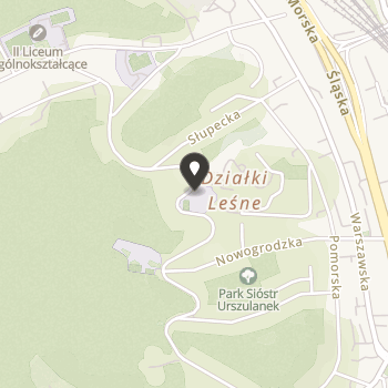 Fundacja Magis na mapie