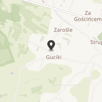 Szczecińskie Stowarzyszenie Pomocy Osobom z Chorobą Parkinsona na mapie