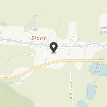 Stowarzyszenie Sportowe "Western Riders" na mapie
