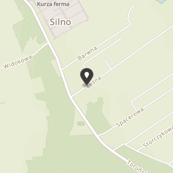 Fundacja "Feniks" na mapie