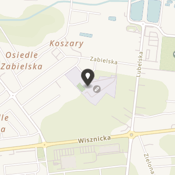 Radzyńskie Stowarzyszenie Inicjatyw Edukacyjnych przy Zespole Szkół Ponadpodstawowych im. Jana Pawła II w Radzyniu Podlaskim na mapie