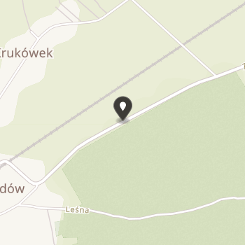 Stowarzyszenie na Rzecz Osób Starszych i Niepełnosprawnych "Niezpominajka" przy Dps w Leopoldowie na mapie