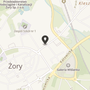 Towarzystwo Miłośników Miasta Żory na mapie