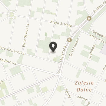 Towarzystwo Przyjaciół Zalesia Dolnego na mapie