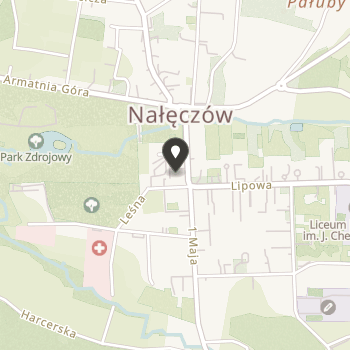 Nałęczowskie Stowarzyszenie Rozwoju i Promocji na mapie