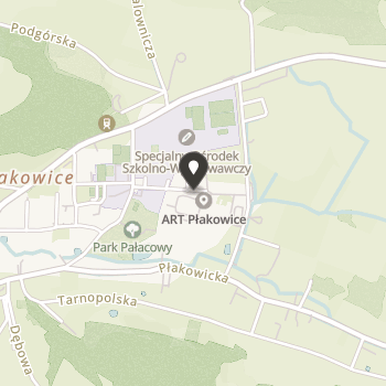 Fundacja Pomocy Niepełnosprawnym Płakowice na mapie