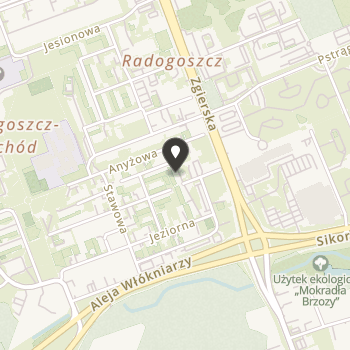 Stowarzyszenie Profilaktyczno- Wychowawcze "Fenix" na mapie