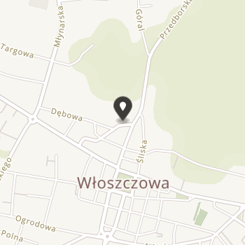 Włoszczowskie Stowarzyszenie Opieki Paliatywnej na mapie