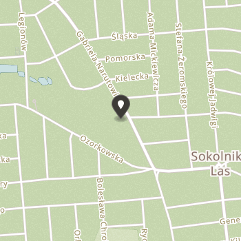 Fundacja "Instytut Itff" na mapie