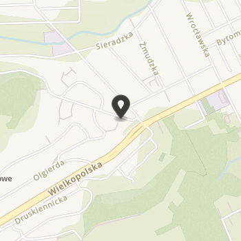 Fundacja Dzieciom Niepełnosprawnym "Podaruj Uśmiech" na mapie