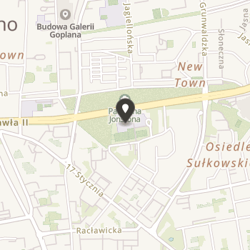 Leszczyńskie Stowarzyszenie "Razem z Nami" na Rzecz Dzieci i Młodzieży z Niepełnosprawnością Intelektualną na mapie