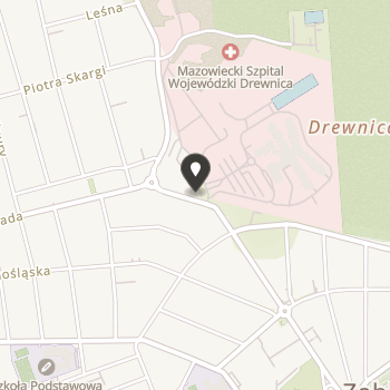 Drewnickie Stowarzyszenie Rodzin i Przyjaciół Osób z Zaburzeniami Psychicznymi "Empatia" na mapie
