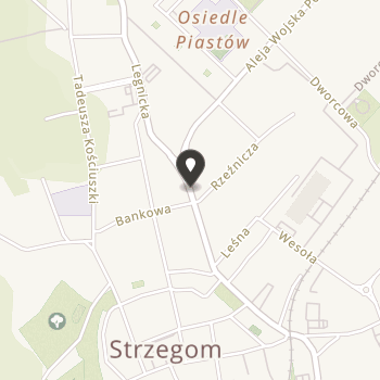 Stowarzyszenie Przyjaciół Publicznej Szkoły Podstawowej nr 4 im. Kornela Makuszyńskiego w Strzegomiu "Przyjaciele Czwórki" na mapie