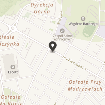 Stowarzyszenie Chełmska Straż Ochrony Zwierząt na mapie