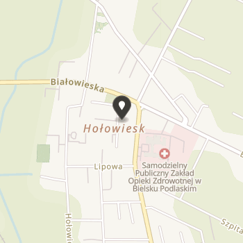 Stowarzyszenie Pamięć i Tożsamość Okno na mapie