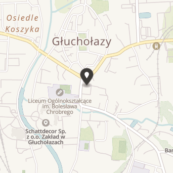 Stowarzyszenie na Rzecz Rozwoju Uniwersytetu Trzeciego Wieku im. Marii Bilwin w Głuchołazach na mapie