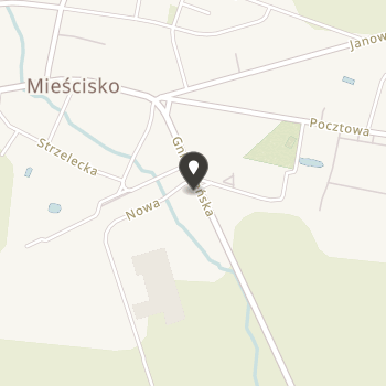 Stowarzyszenie Pomocy Uczniom im. Jana Pawła II w Mieścisku na mapie