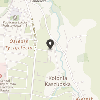 Stowarzyszenie Przyjaciół i Absolwentów Zespołu Szkół w Głuchołazach na mapie