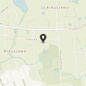 Gnieźnieńskie Stowarzyszenie Amazonek na mapie