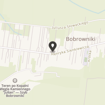 Stowarzyszenie na Rzecz Ochrony Zabytkowego Kościoła w Bobrownikach na mapie