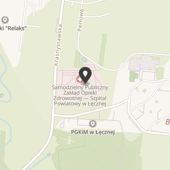 Stowarzyszenie Kobiet "Amazonki" w Łęcznej na mapie