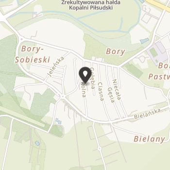 Fundacja Pomocy Osobom Niepełnosprawnym "Ratownik Górniczy" na mapie