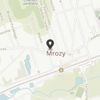 Stowarzyszenie Przyjaciół Mrozów na mapie