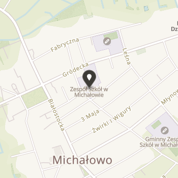 Fundacja "Pomoc Zespołowi Szkół w Michałowie" na mapie
