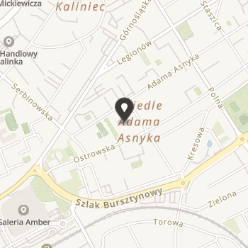 Kaliskie Stowarzyszenie Pomocy dla Zwierząt - "Help Animals" na mapie