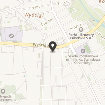 Normalna Kultura na mapie