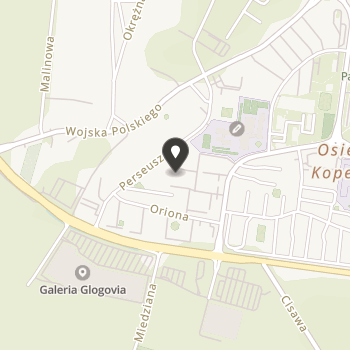 Stowarzyszenie dla dzieci i Młodzieży "Szansa" na mapie