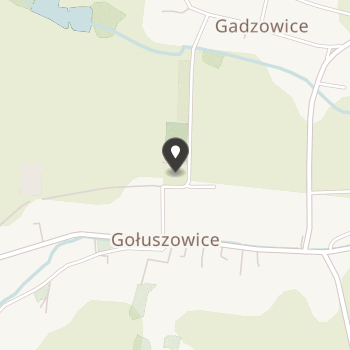 Stowarzyszenie na Rzecz Rozwoju Wsi Gadzowice i Gołuszowice na mapie