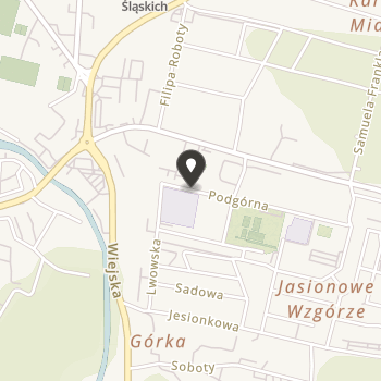 Stowarzyszenie Przyjaciół Przedszkola nr 6 w Prudniku na mapie