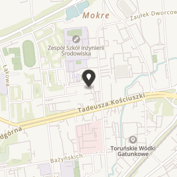 Fundacja Inter Star na mapie