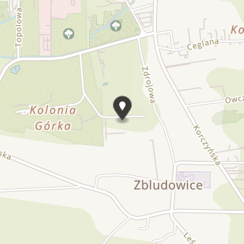 Pomoc Niepełnosprawnym Dzieciom, Młodzieży i Osobom Fizycznym przy Sosw w Busku-Zdroju Błękitne Niebo na mapie