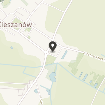 Stowarzyszenie na Rzecz Osób z Zaburzeniami Psychicznymi i Przewlekle Chorych Oraz Ich Rodzin / Opiekunów "Vivere" na mapie