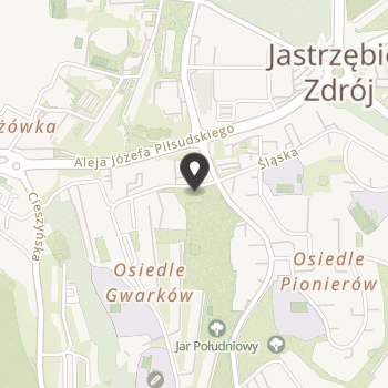 Komitet Pomocy Dzieciom Specjalnej Troski w Jastrzębiu-Zdroju na mapie