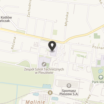 Pleszewskie Stowarzyszenie na Rzecz Osób Niepełnosprawnych "Razem w Przyszłość" na mapie