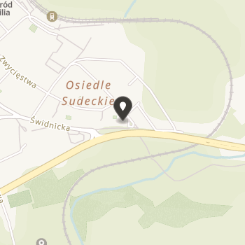 Stowarzyszenie Pomocy Dzieciom "Smyki" na mapie