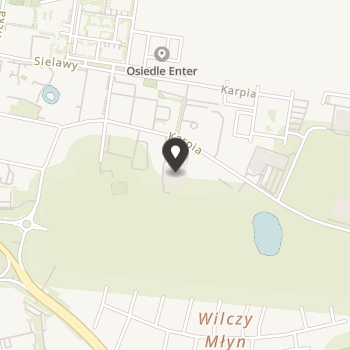 Fundacja "Bros Dzieciom" na mapie