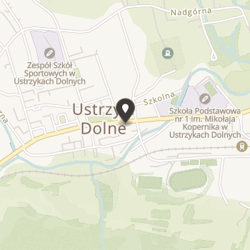 Stowarzyszenie "Otwarte Serce" przy Domu Pomocy Społecznej Piłka - Zamyślin na mapie
