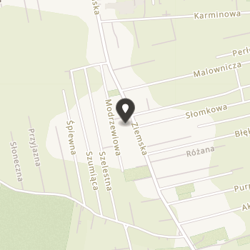 Przyjaciele Misjonarzy Afryki na mapie