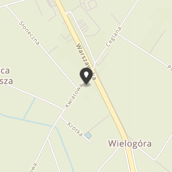 Ludowy Klub Sportowy "Strażak" w Wielogórze na mapie