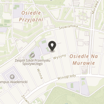 Salezjański Wolontariat Misyjny - Młodzi Światu Oddział w Poznaniu na mapie